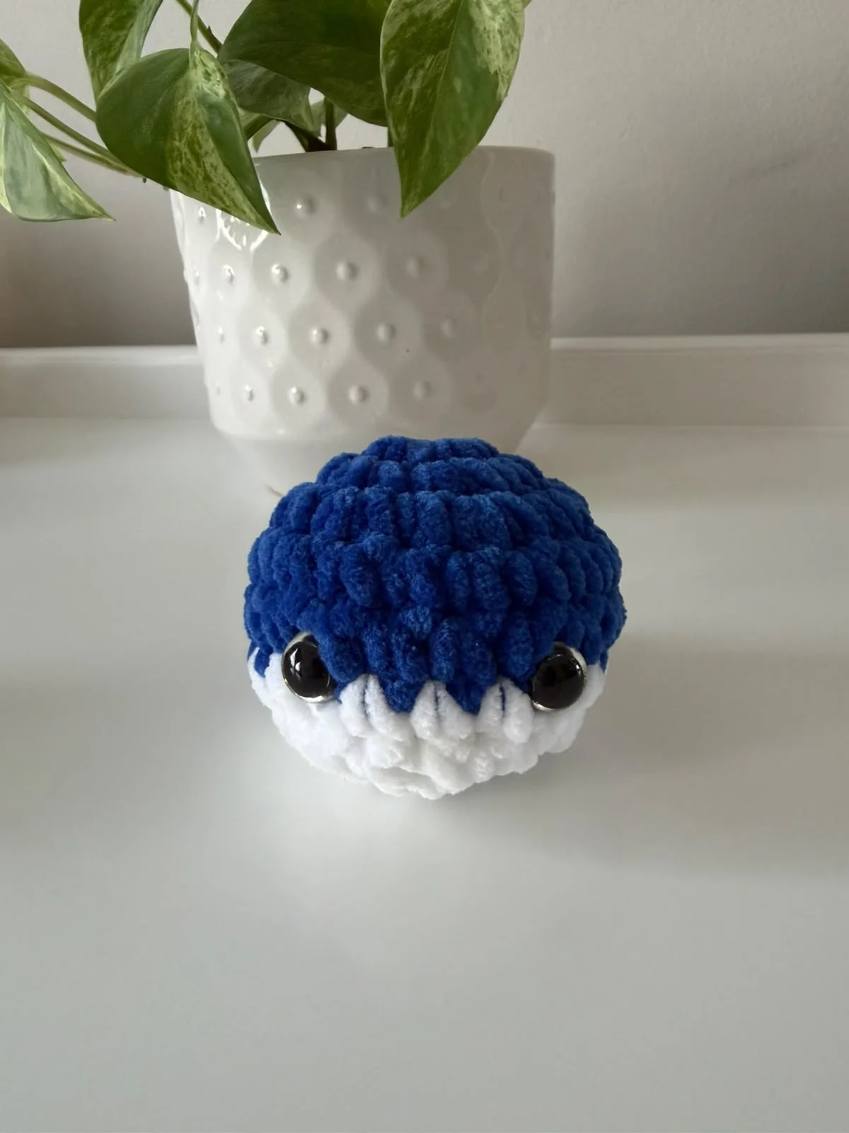 Baby whale