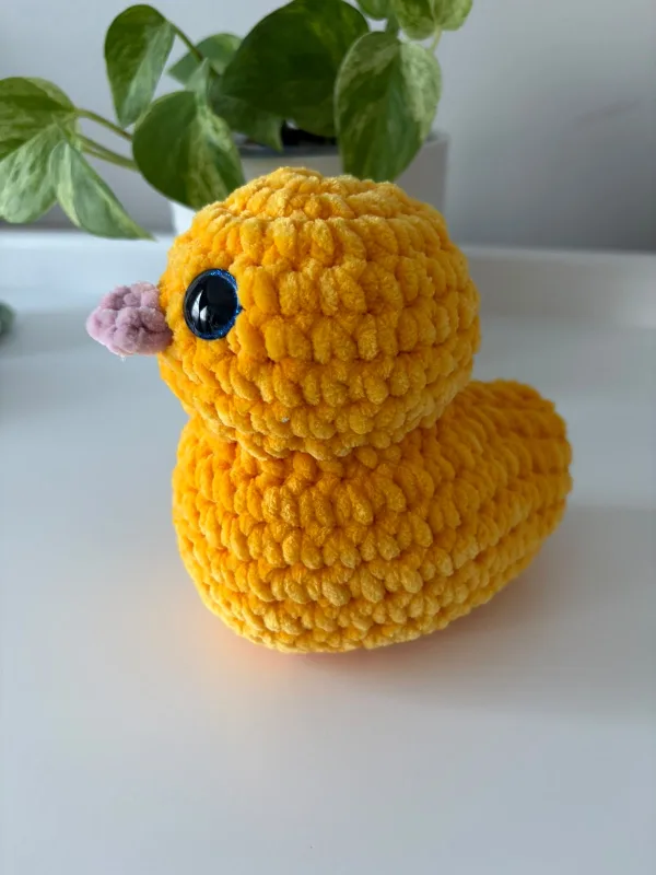 Duck