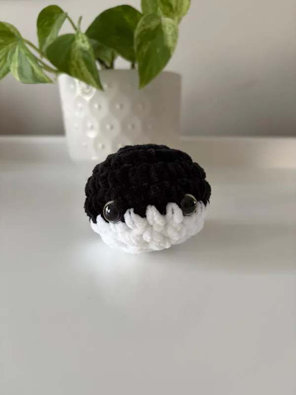 Baby whale